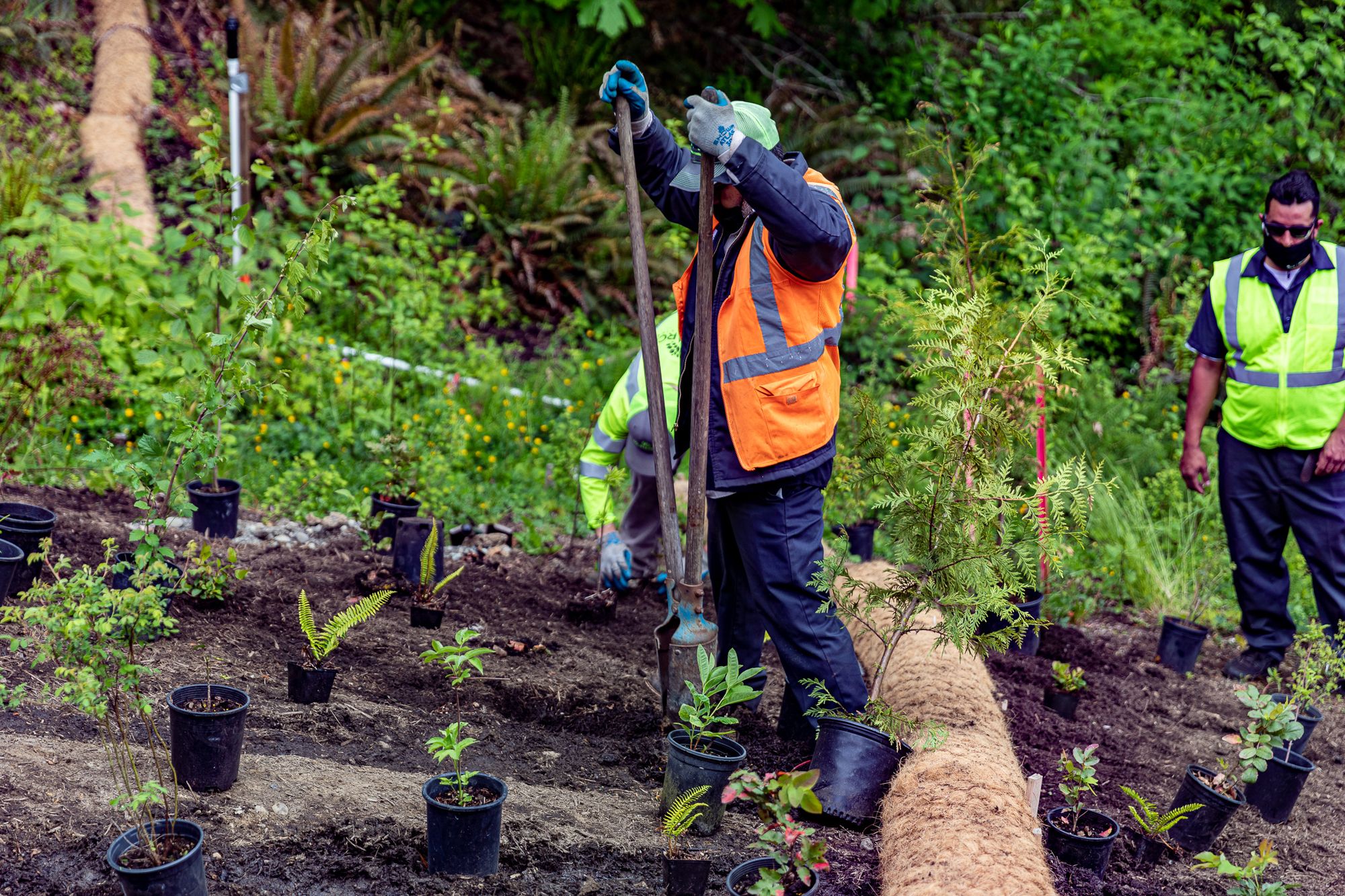 Jobs in Landscaping Monarch Landscape Companies